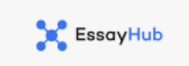 write my essay for me by essayhub