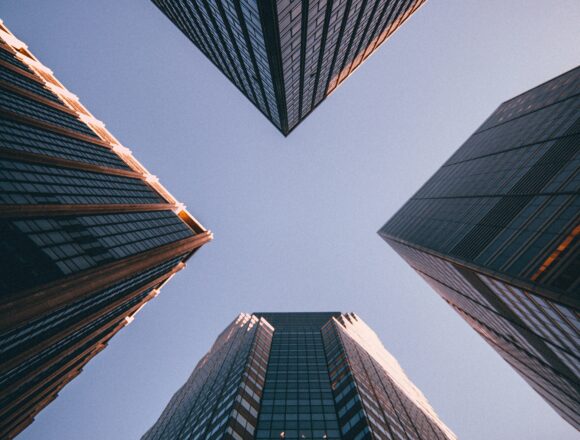 The Business of Being Famous: Build, Monetize, Protect Your Brand