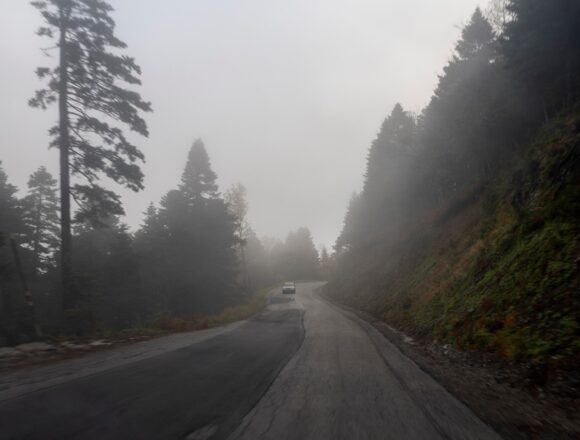 A car on a foggy road winding through forested mountains on Evia, Greece.